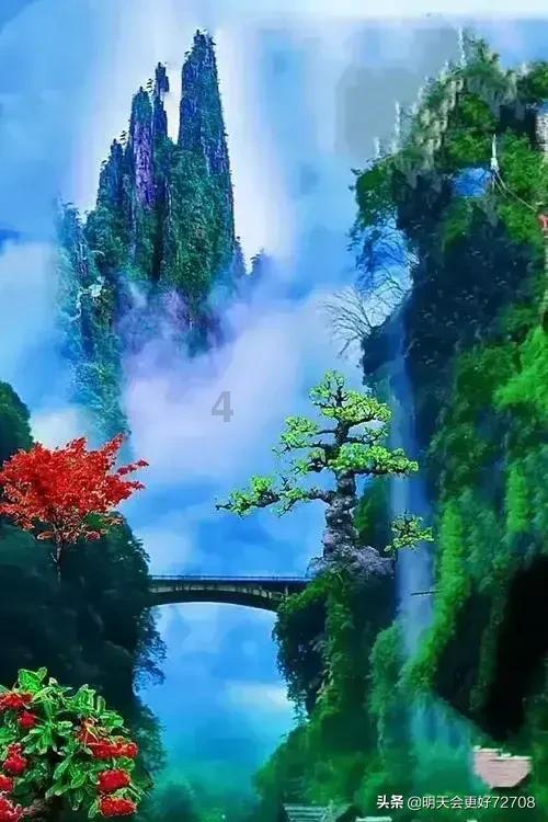 微酸秘密