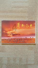 美丽的夜晚