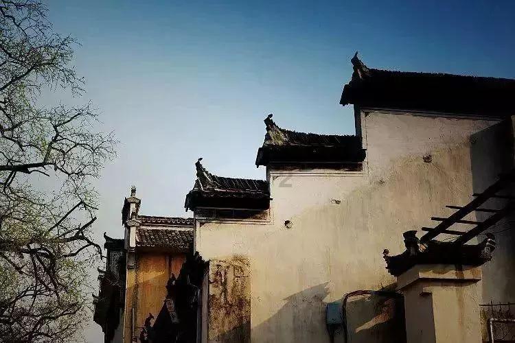 你好邻居